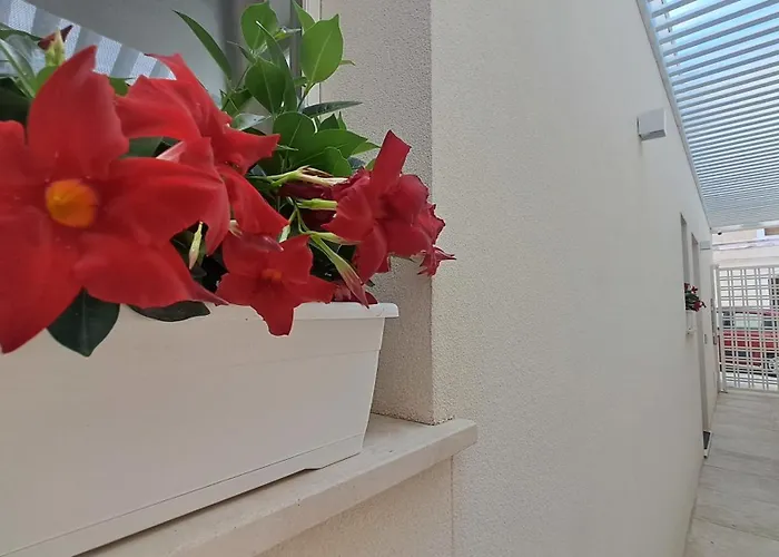 Mare E Mura * Cefalù